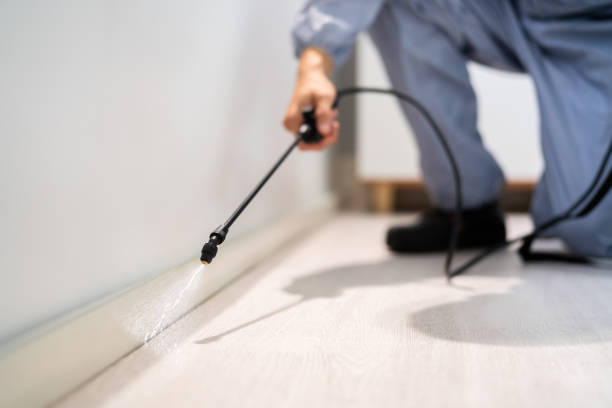 Licensed Termite Control service in Jefferson Davis County County, MS - Nex Pest Control