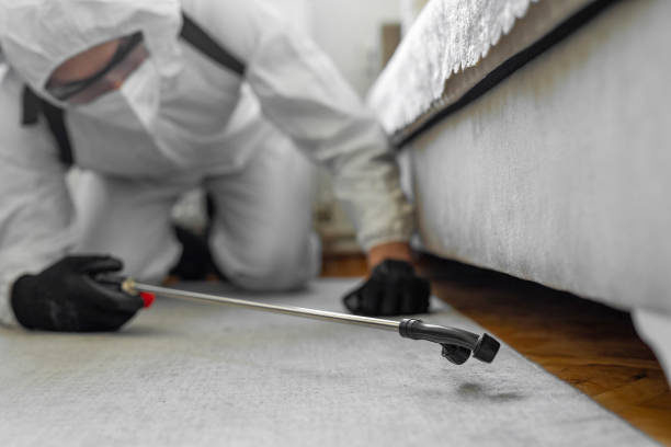 Professional Termite Control technician working in Jefferson Davis County County, MS